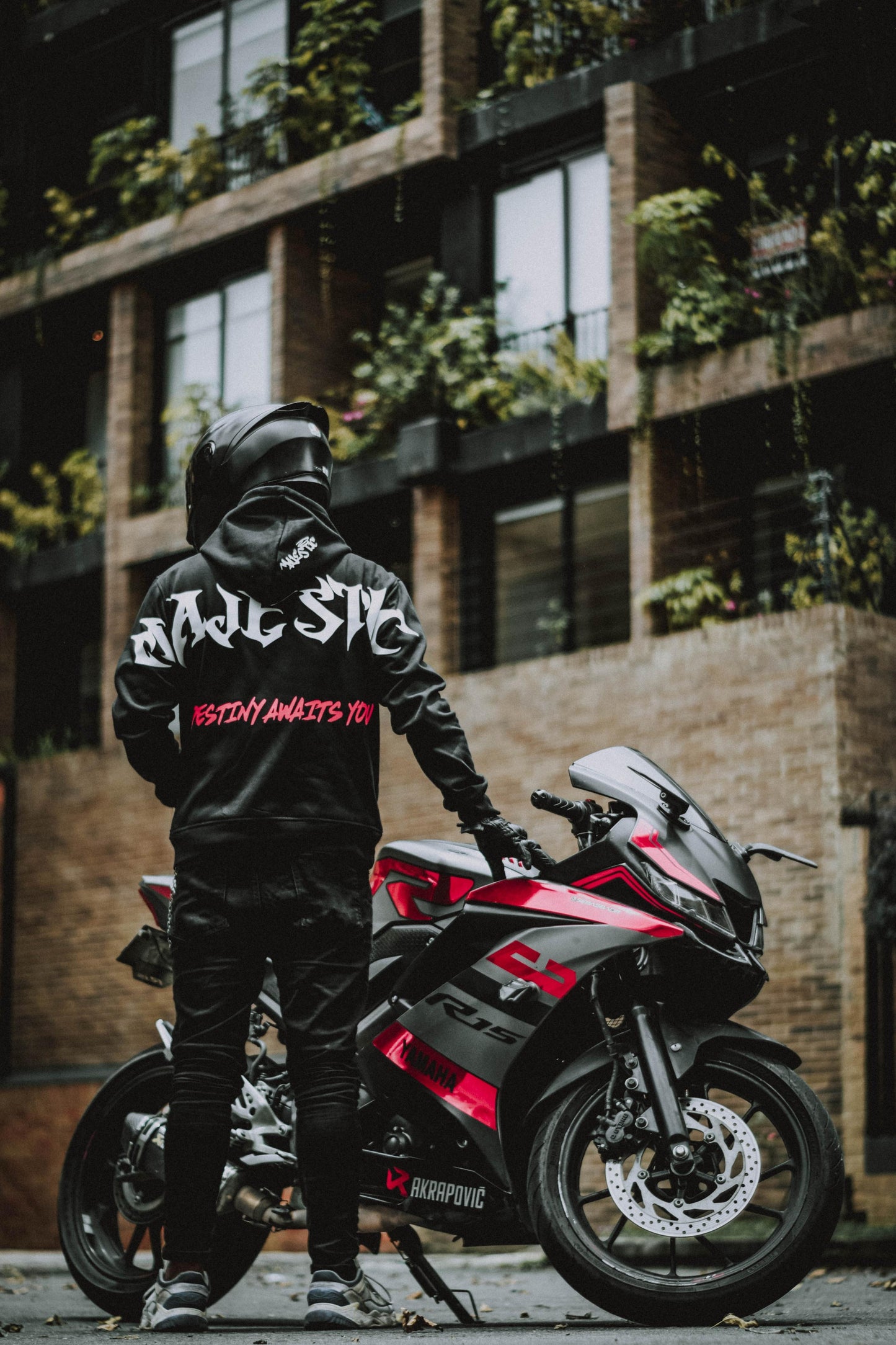 Hoodie Edición Majestic Destiny