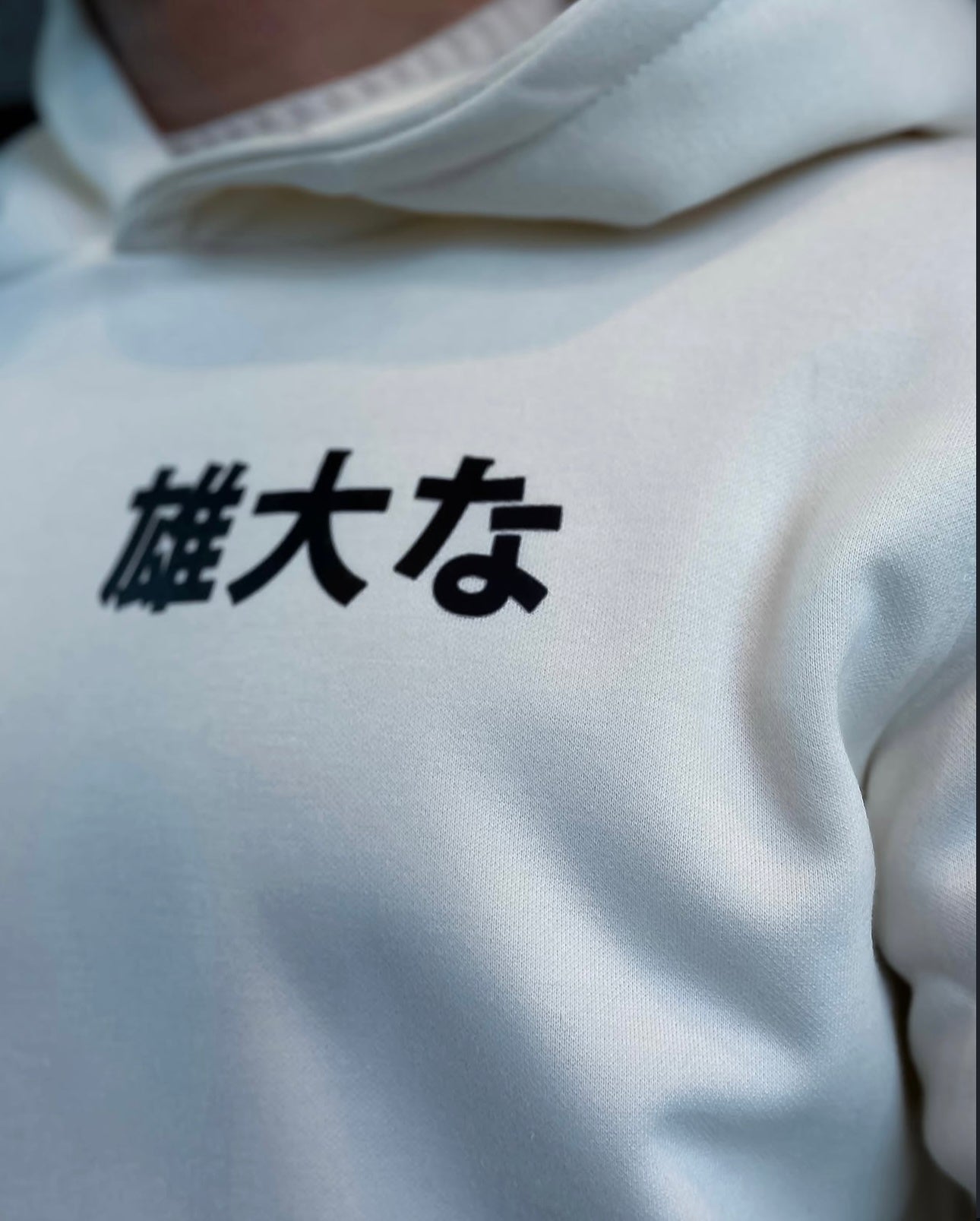 Hoodie Edición Majestic