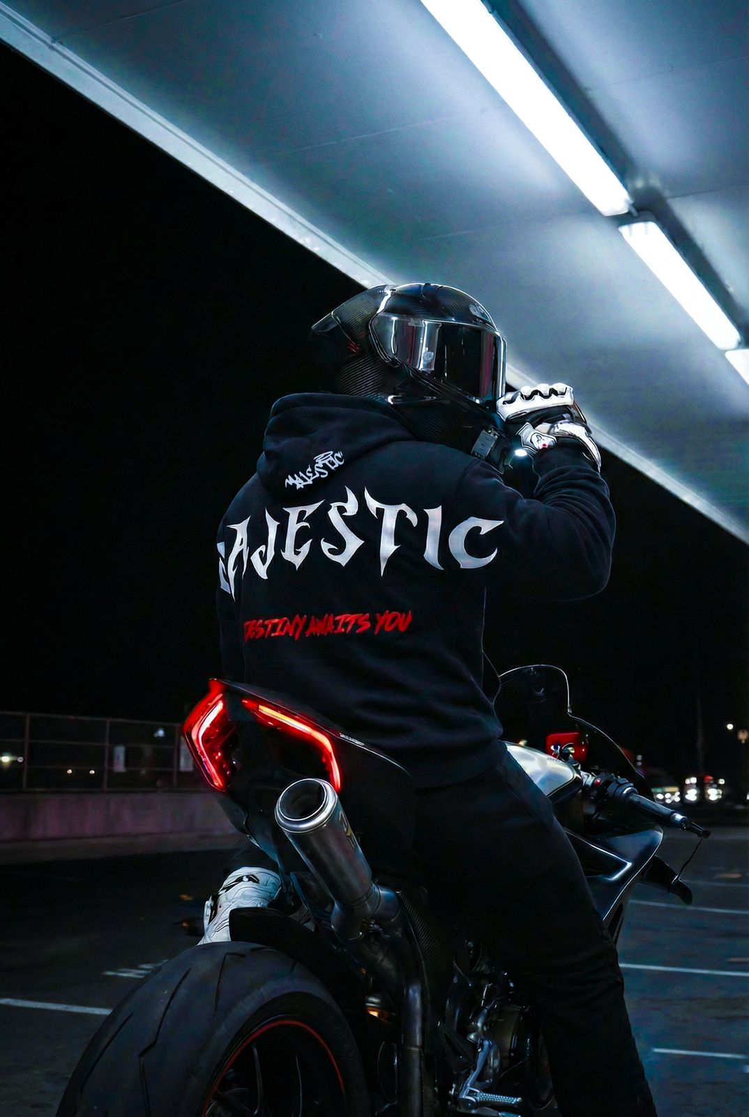 Hoodie Edición Majestic Destiny